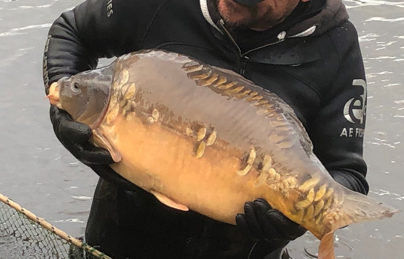 Another Carp Landed at Spring Heath
